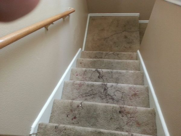 Dirty Carpet On Stairway